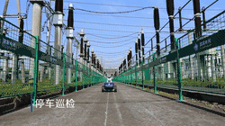 t3.gif
